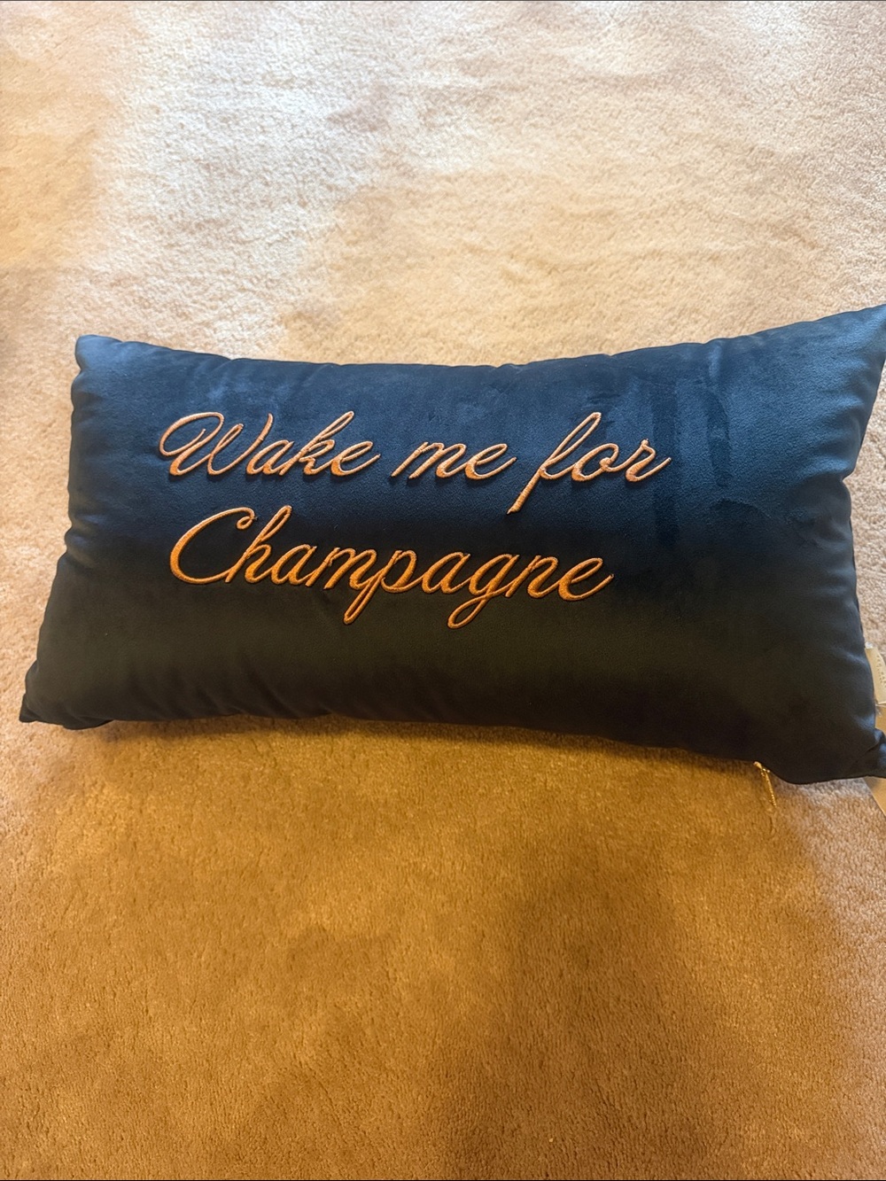 Ted Baker Navy Velvet Pillow with Gold Embroidered 'Wake me for Champagne'